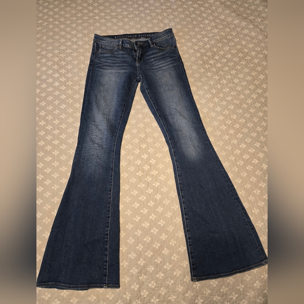 Articles of society size 27 flare leg jean